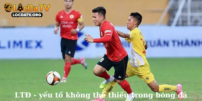 LTĐ - yếu tố không thể thiếu trong bóng đá
