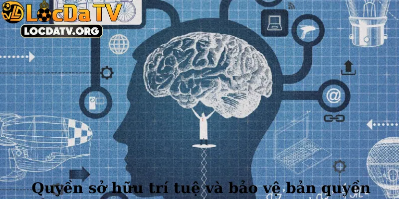 Quyền sở hữu trí tuệ và bảo vệ bản quyền